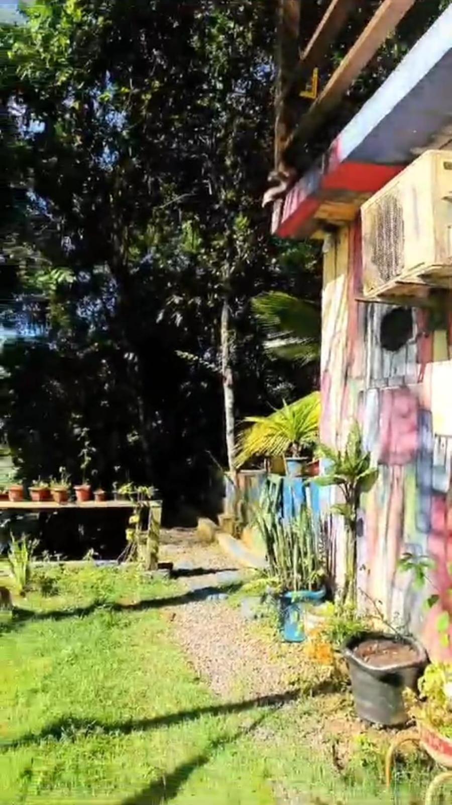 A Figueira Sagrada - Hostel Morro de São Paulo Eksteriør billede